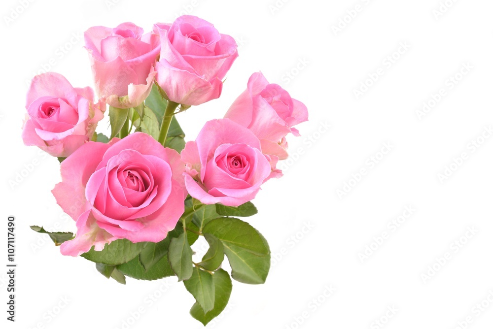 Bouquet of pink roses, with copy space. Bouquet of pink roses, with copy space.