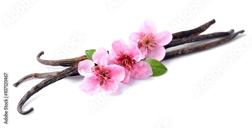 Vanilla sticks with pink flowers