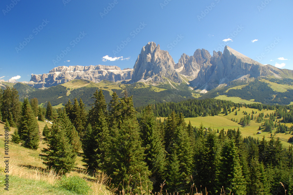 Panorama estivo in Val Gardena