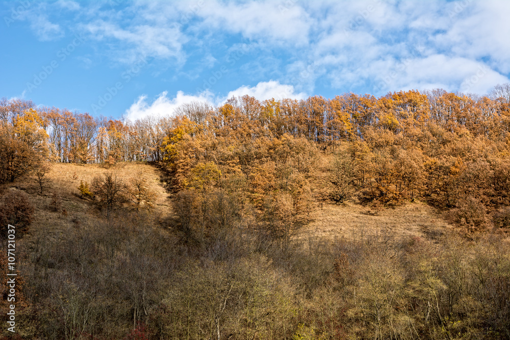 Beautiful autumn colors, trees on a hill against the blue sky with clouds