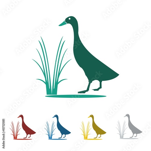 Fowl Farm Animal Icon Logo Vector