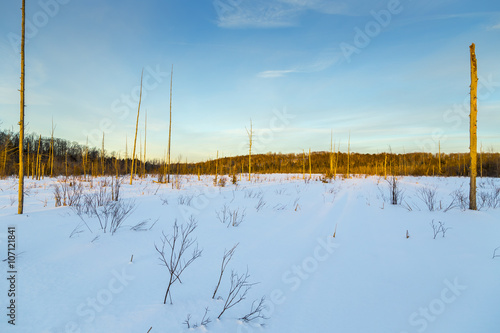 Rural Winter Landscape View