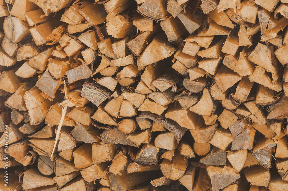 Brennholz, Feuerholz, Tannenholz, Förster, Tannenwald, Wanderweg, Wengeneralp, Kleine Scheidegg, Berner Oberland, Lauberhorn, Schweiz