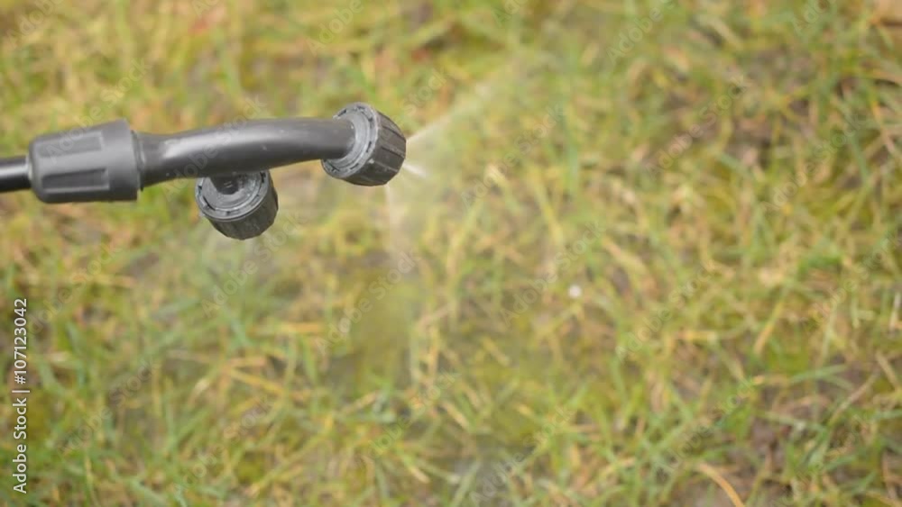 Herbicide spraying against moss Herbicide spraying against moss