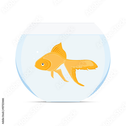 Goldfish in bowl