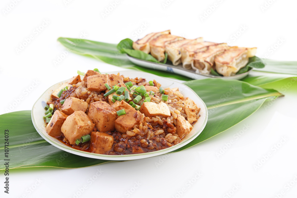 おいしそうな中華料理 おいしそうな中華料理