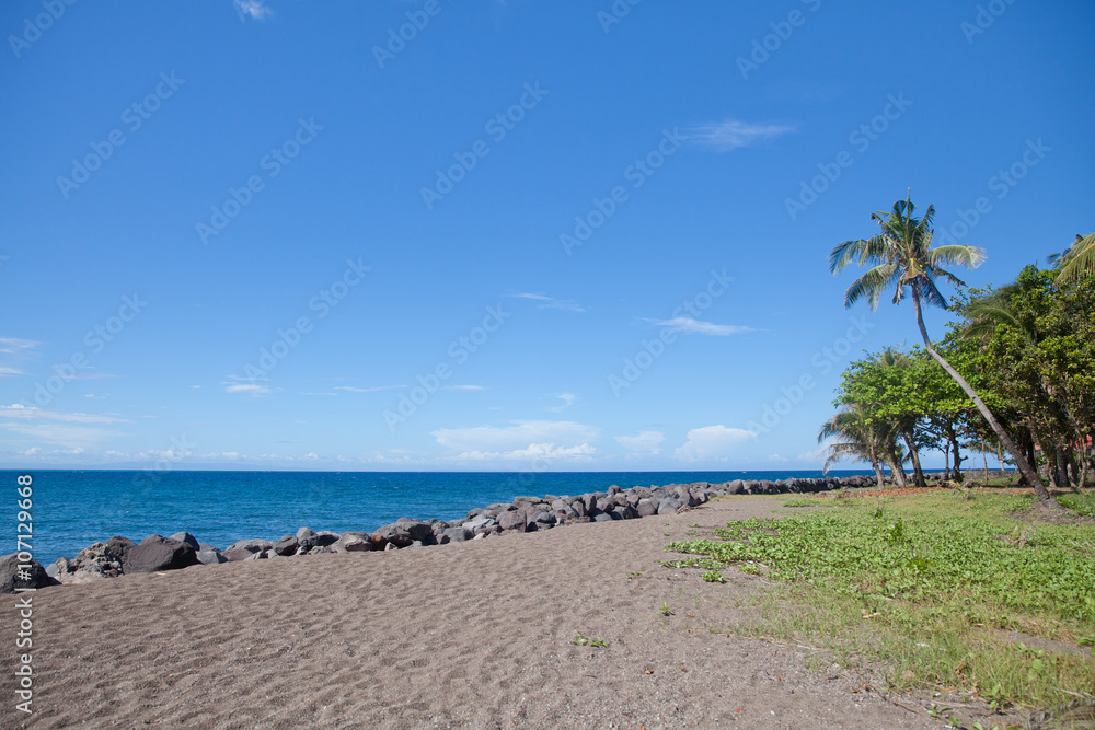 берег с пальмой и вулканическим песком