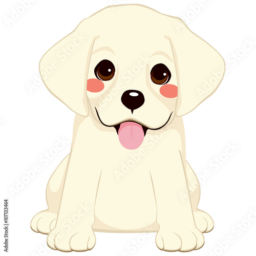 Cute White labrador golden retriever puppy illustration