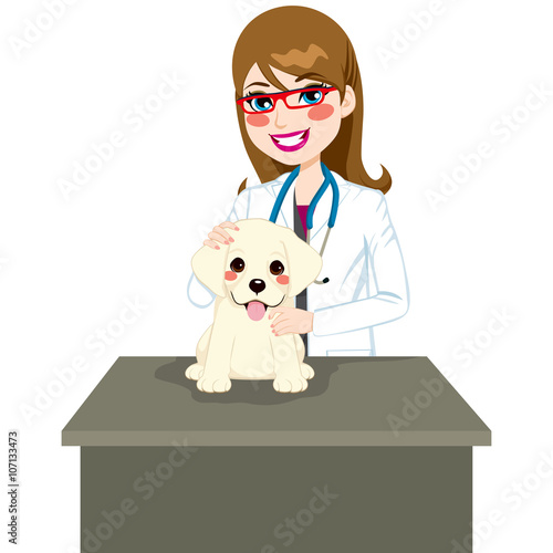 Cute labrador puppy sitting on table visiting veterinarian