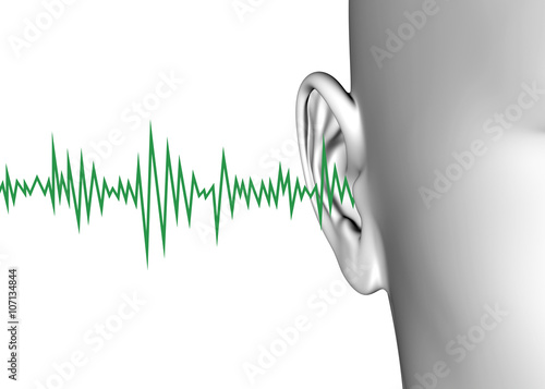 Ear - 3D