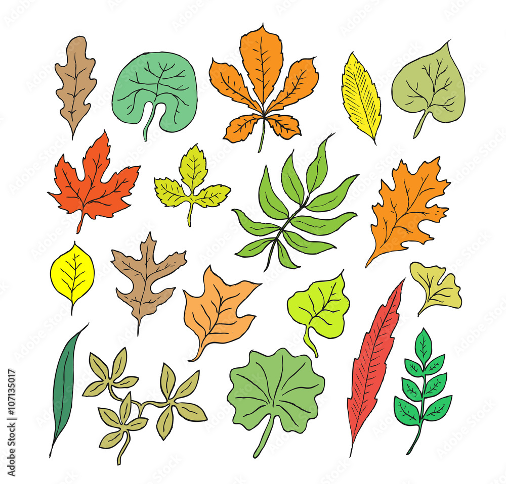 Hand Drawn Leaves Doodles Set Silhouettes On White Background Isolated