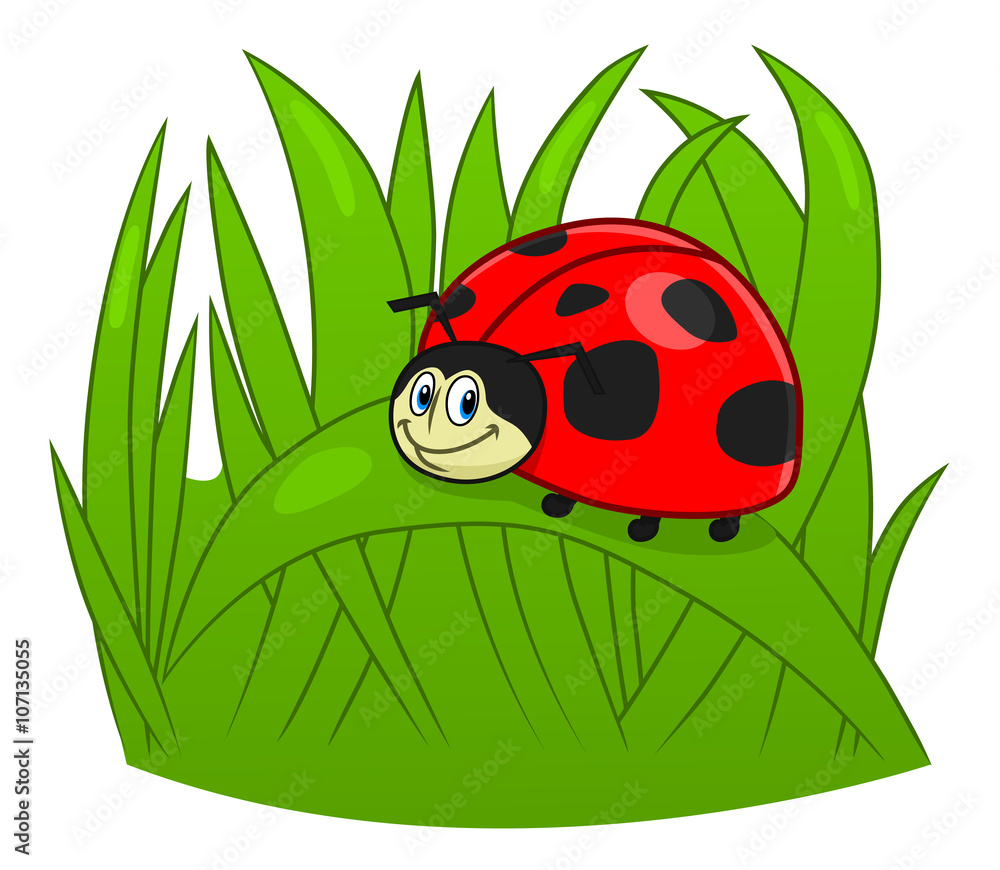 Naklejka premium Cartoon ladybug
