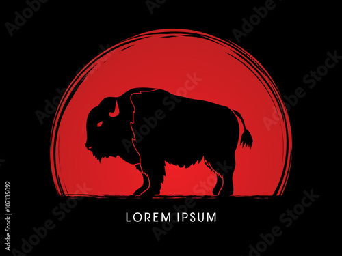 Buffalo designed on sunset background graphic vector
