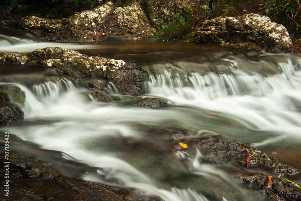 Fototapeta premium Goomoolahra creek at Springbrook National Park in Queensland.