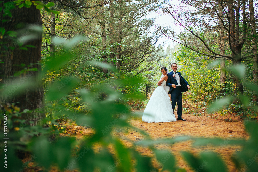 newlyweds in park.newlyweds on walk in the beautiful wood.newlyweds embrace.embraces of newlyweds.newlyweds in the spring wood.gentle.relations.feelings.beautiful groom and bride.fantastic wedding. newlyweds in park.newlyweds on walk in the beautiful wood.newlyweds embrace.embraces of newlyweds.newlyweds in the spring wood.gentle.relations.feelings.beautiful groom and bride.fantastic wedding.