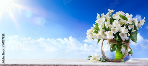 Nature background with spring flowers a blue sky background
