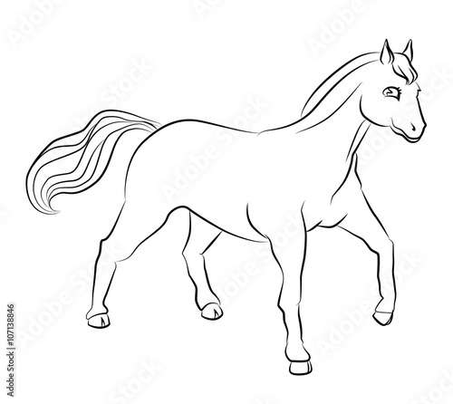 black and white image of a horse