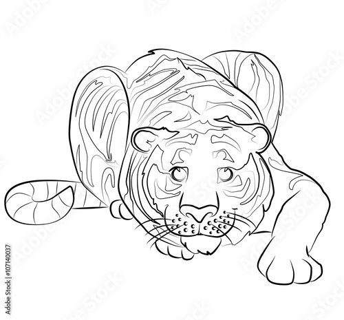 Fototapeta Naklejka Na Ścianę i Meble -  black and white image of a tiger