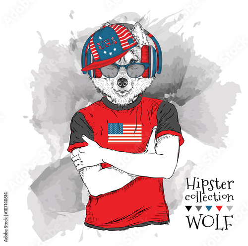 Illustration of wolf dressed up in the glasses and in the t-shirt with print of USA flag. Vector illustration.