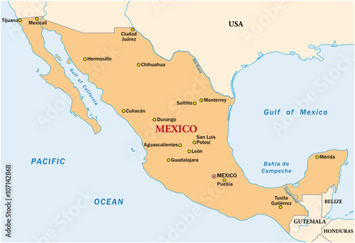 simple vector map of the state mexico