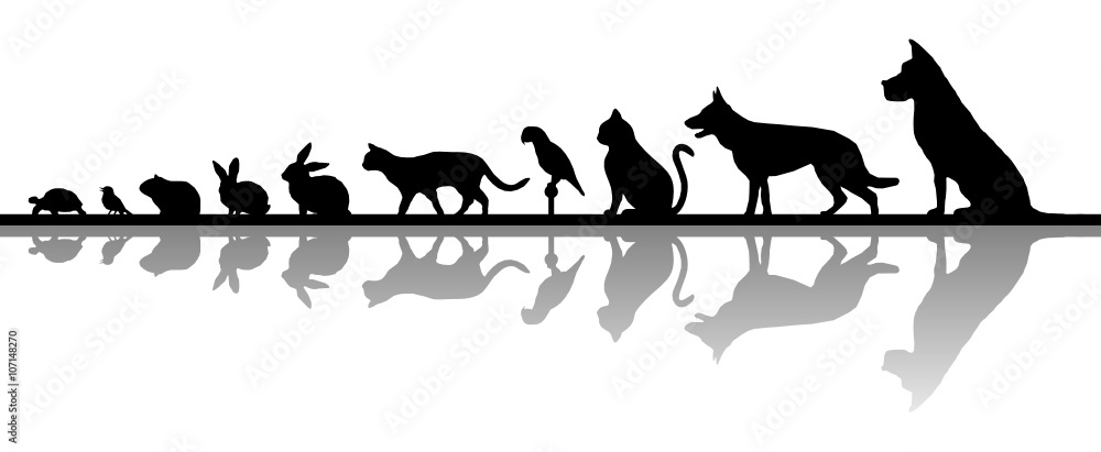 Silhouette Haustiere - Hund, Katze, Vogel u.a. – Stock-Vektorgrafik | Adobe  Stock