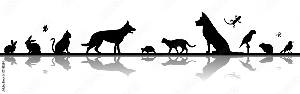Silhouette Haustiere - Hund, Katze, Vogel u.a. - obrazy, fototapety, plakaty 