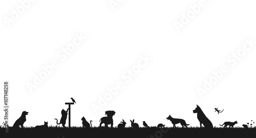 Silhouette Haustiere - Hund, Katze, Vogel u.a. © SimpLine