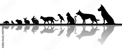 Silhouette Haustiere - Hund, Katze, Vogel u.a.