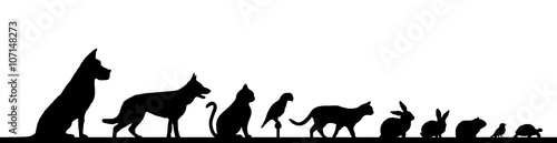 Silhouette Haustiere - Hund, Katze, Vogel u.a.