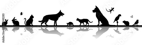 Silhouette Haustiere - Hund, Katze, Vogel u.a. photo