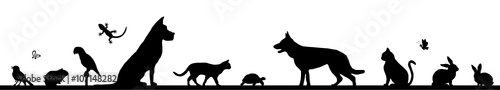 Obraz na płótnie Silhouette Haustiere - Hund, Katze, Vogel u.a. w salonie