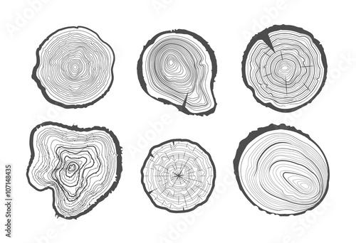 Collection of tree-rings. Vector graphics.