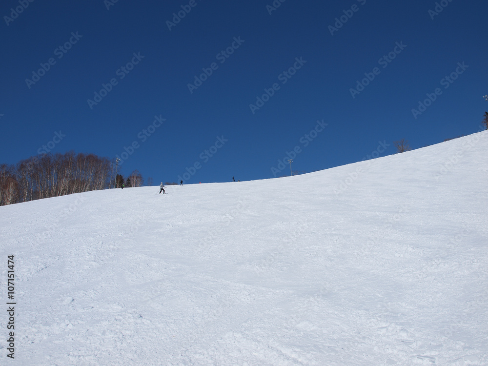 niseko ski resort in hokkaido