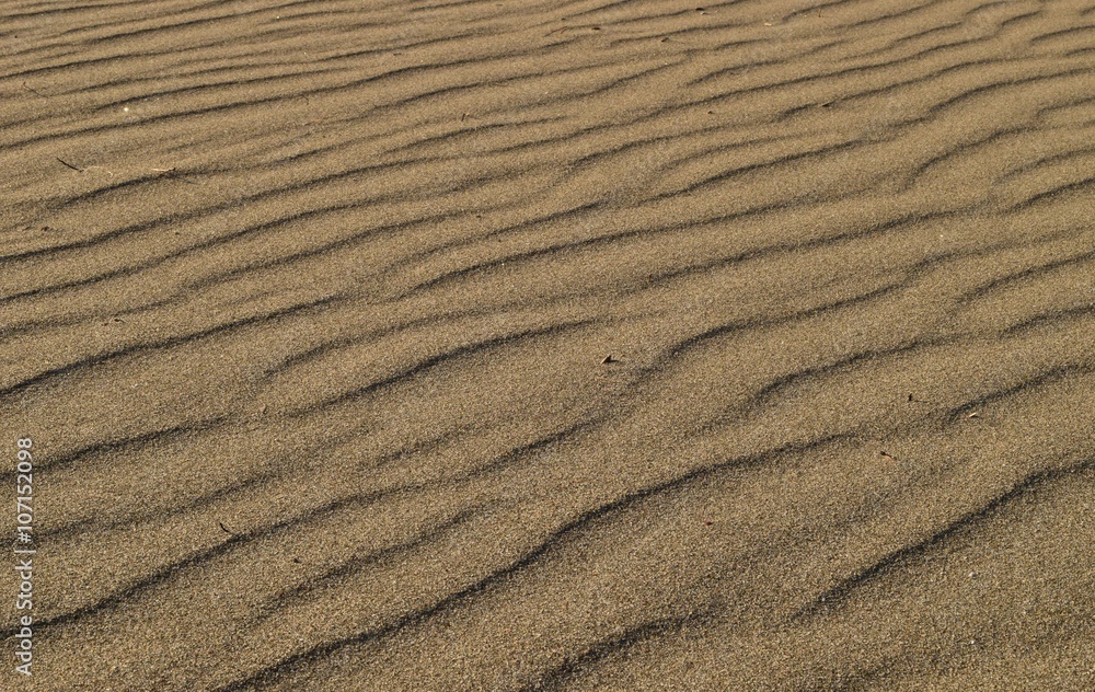 砂 砂