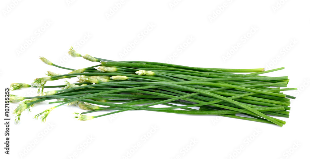 chives flower or chinese chive isolated on white background chives flower or chinese chive isolated on white background
