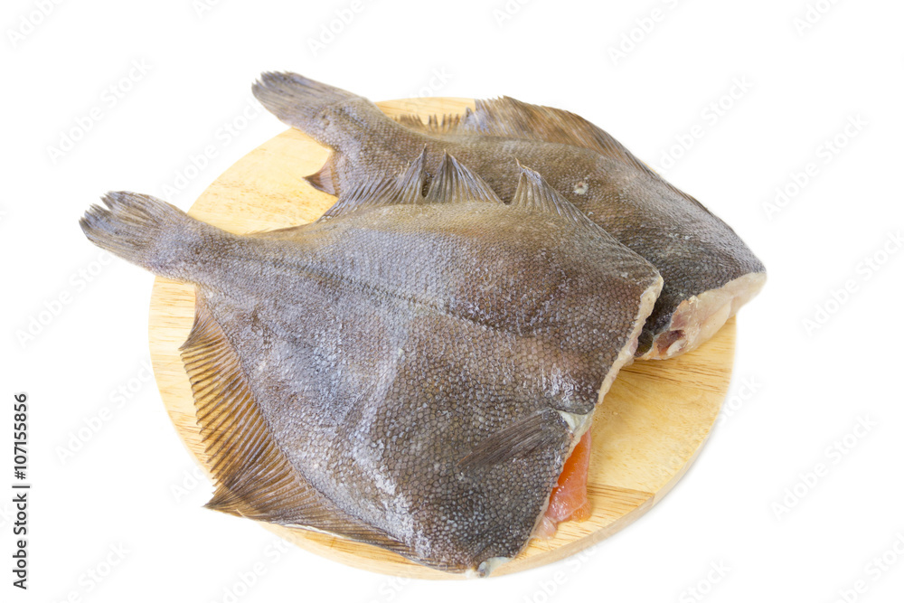 Raw fish flounder