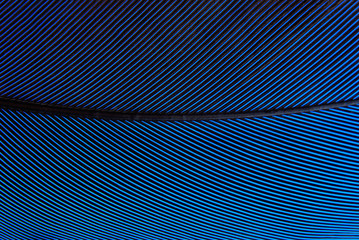 Papier peint photo Photographie macro Texture de plume de perroquet  © severija