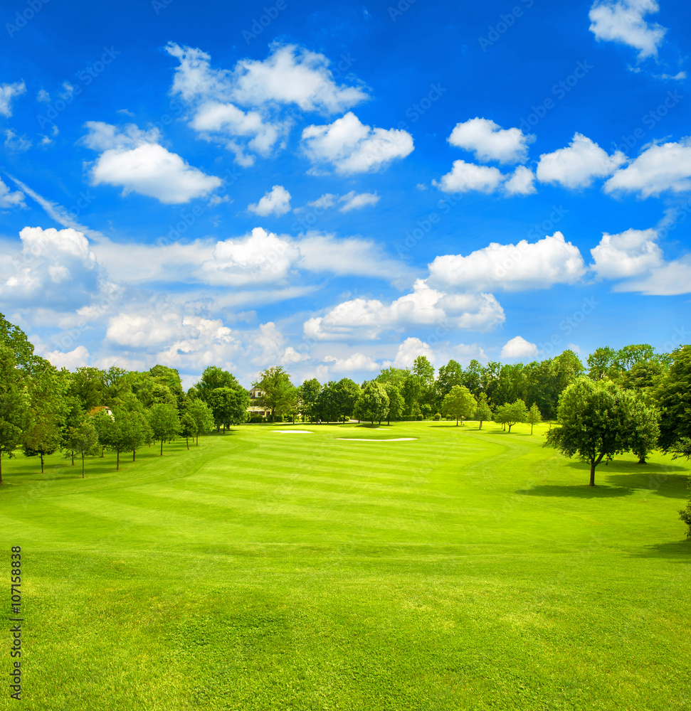 Green field and blue cloudy sky. Golf course. Fairway Green field and blue cloudy sky. Golf course. Fairway