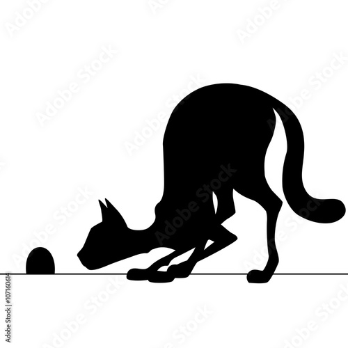 Silhouette cat watching a mouse hole waiting for mouse