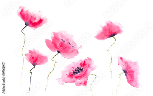 Stylized red poppy flowers on white