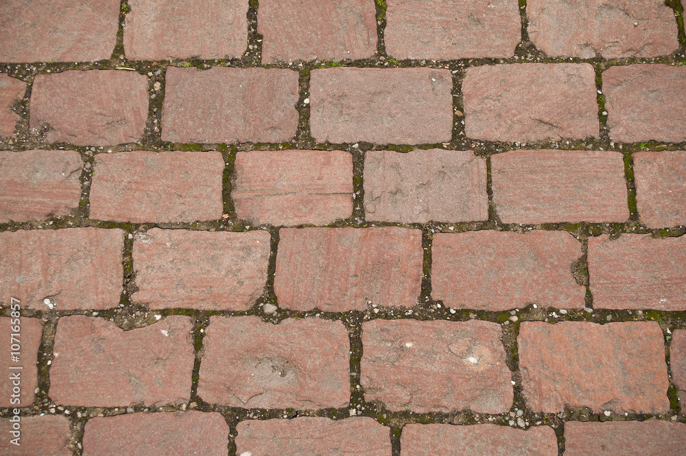 Obraz premium texture de pavés rouges