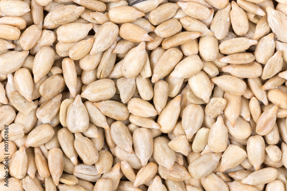 Sunflower seeds background macro photography Sunflower seeds background macro photography