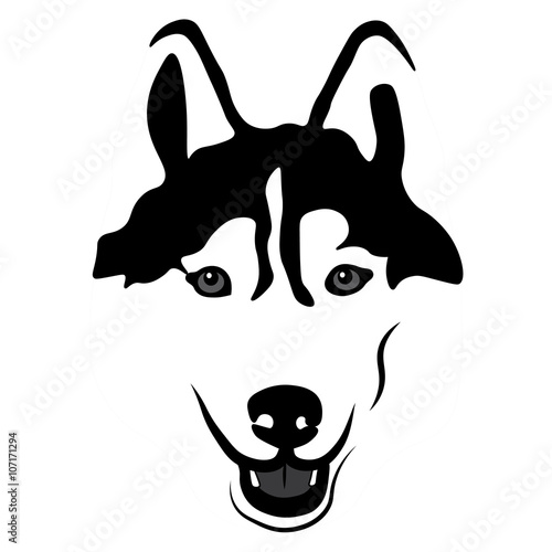Siberian Husky Portrait. Isolated Vector Illustration