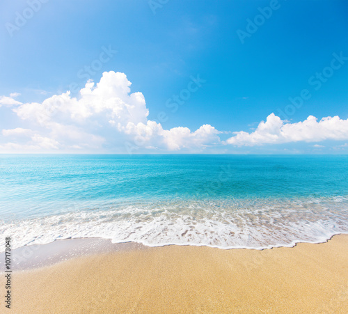 beach and tropical sea