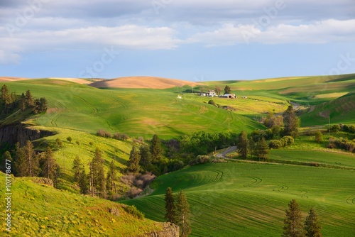 Farm in the rolling hills farmland. Palouse Hills in Washington, United State of America.