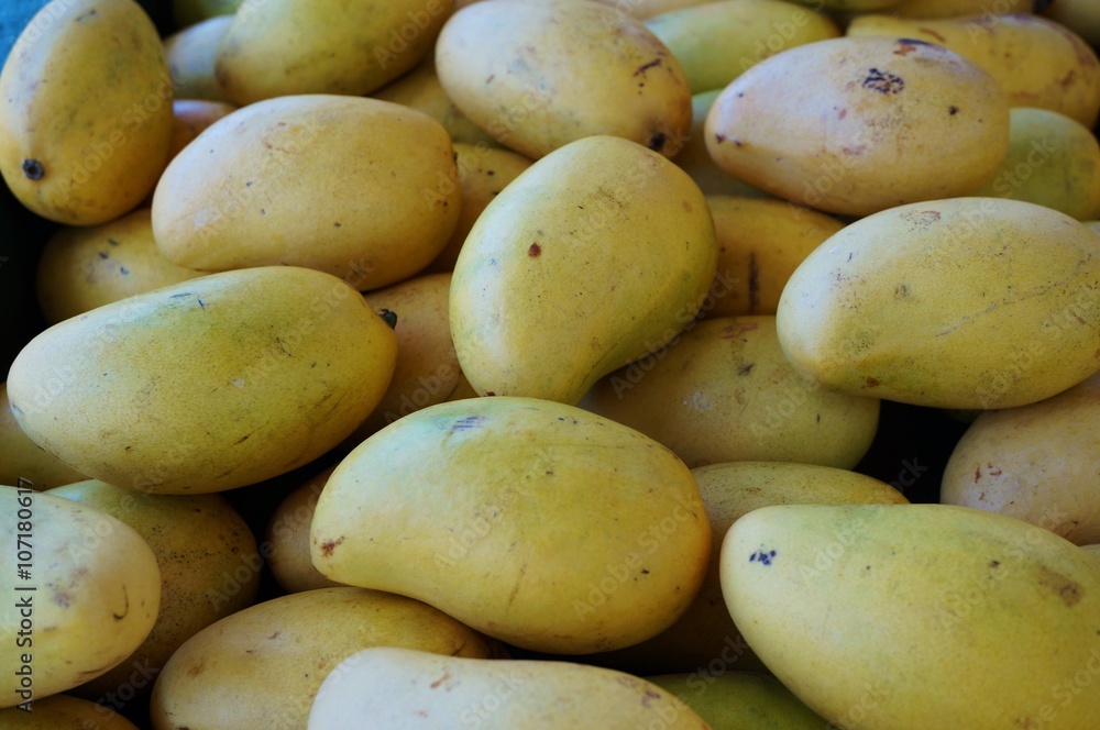 Fresh mangoes at a road stand in Maui, Hawaii Fresh mangoes at a road stand in Maui, Hawaii