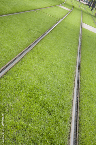 Tram Track in Rotterdam, Holland