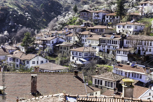 High angle rooftop view of traditional houses in Goynuk town photo