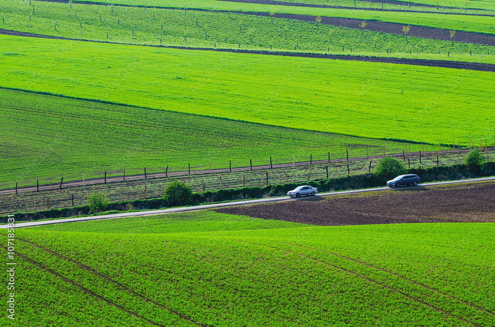 Rural landscape with green wavy fields, road and cars, South Moravia, Czech Republic