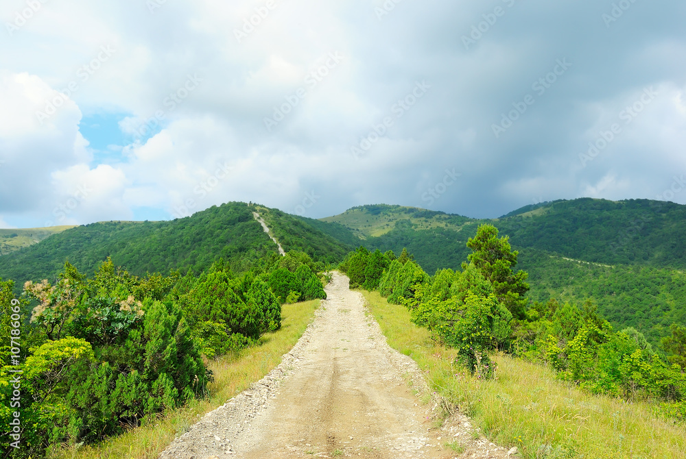 Fototapeta premium The stony road in the Caucasus mountains, Kabardinka, Russia